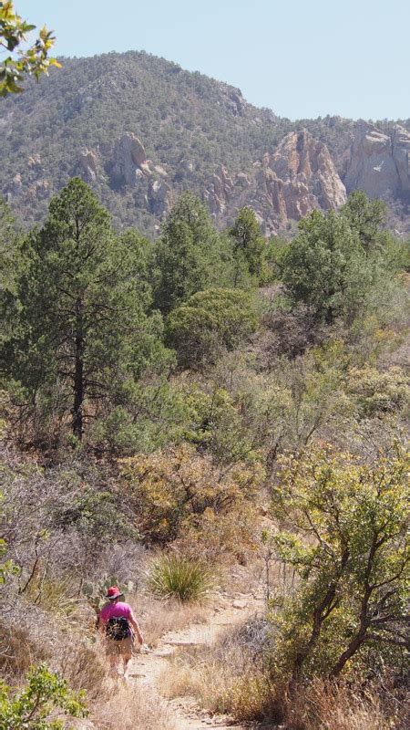 Hiking in the Chisos | Teardrop Trail