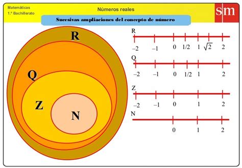 Los numeros reales