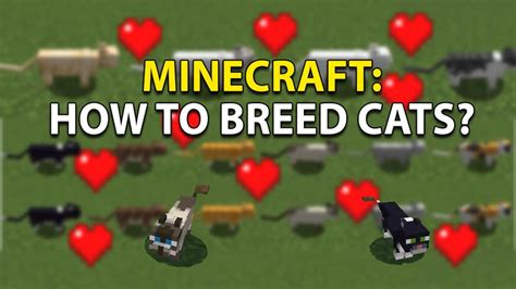 Minecraft Cat Breed Chart