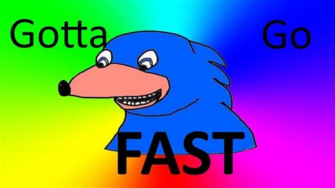 Sonic Gotta Go Fast