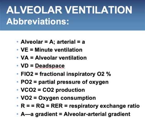 Alveolar Ventilation! Flashcards | Quizlet