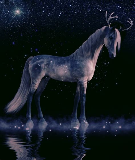 What is Ceffyl Dŵr? Welsh Mythology’s Mysterious Water Horse ...