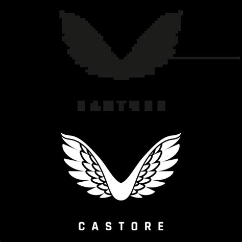 CASTORE Logo PNG, Vector (AI, EPS, CDR, PDF, SVG) - iconLogoVector