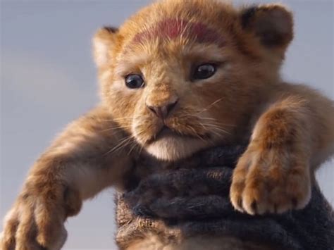 Check Out Simba in This Sneak Peek of 'The Lion King' | The Pop Insider