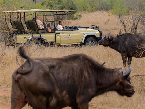 8 day Safari in South Africa | On The Go Tours