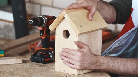 How To DIY Your Own Birdhouse With A Camera