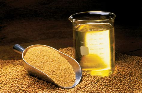 Soybean oil, meal and beans | Feedipedia