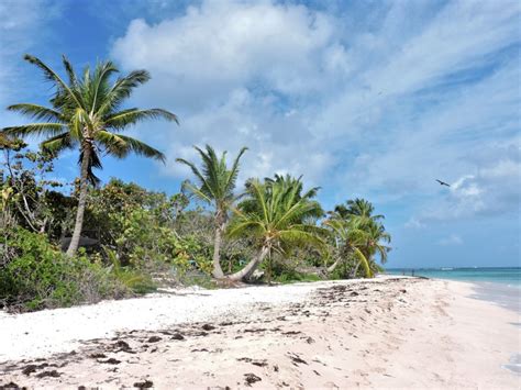 Is Flamenco beach in Culebra worth the hype ? - Traveling with Aga