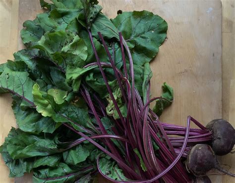 7 Tips for Harvesting Beets From Your Garden