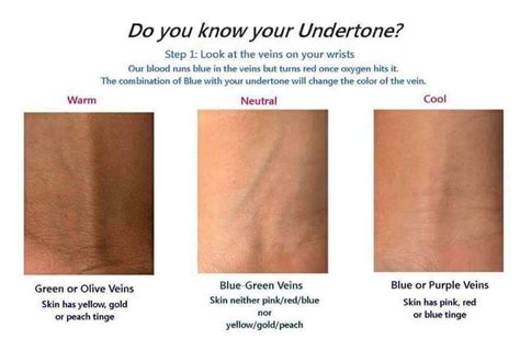 Find Your Perfect Foundation Shade with Skin Undertones & Color Chart