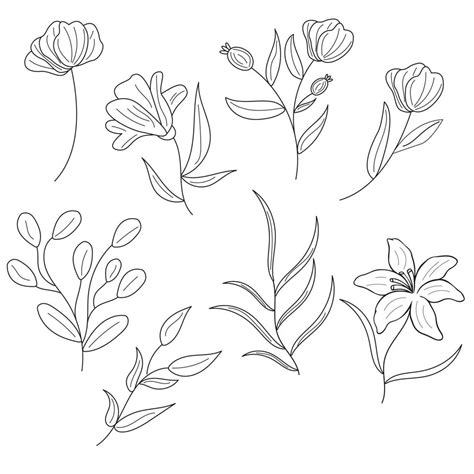 Thin Flowers Vector Art, Icons, and Graphics for Free Download