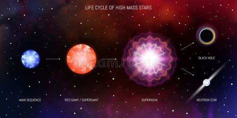 Life Cycle Star Stock Illustrations – 348 Life Cycle Star Stock ...