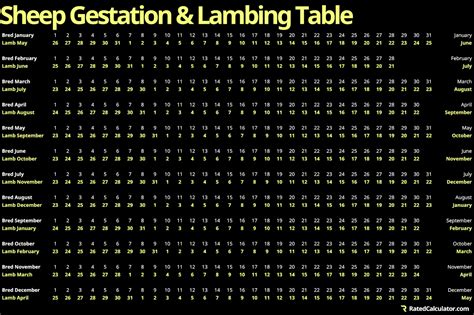 Sheep Gestation Calculator & Chart | Calculate Sheep Lambing Dates