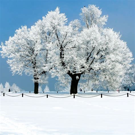 Snow Scenery Wallpapers - Wallpaper Cave