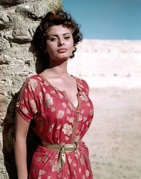 Sophia Loren, 1950s Photograph by Everett - Pixels