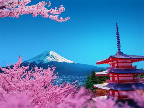 In pictures: Best places to witness cherry blossoms in Japan – Doifoo ...