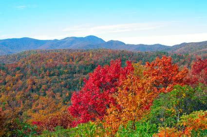 Tips and Places to View The Great Smoky Mountains Fall Foliage | Great ...