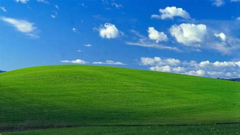 Iconic Windows XP background is photo of Sonoma County hillside - ABC7 ...