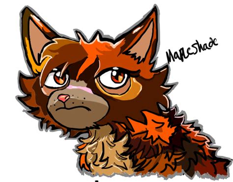 Mapleshade of the Dark Forest | Warrior Cats