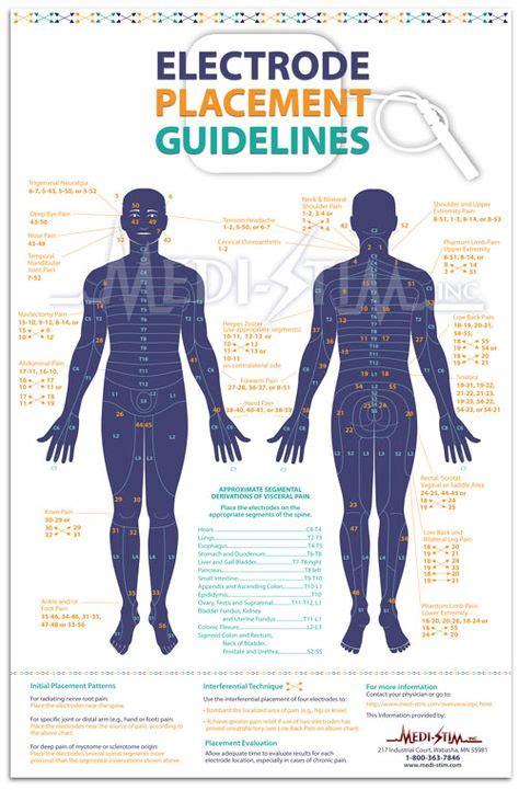 7 Tens Unit Node Pad Placement ideas | ten unit, massage therapy, tens ...