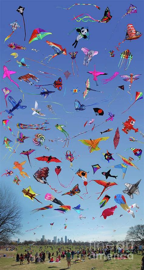 Kite Variety Chart at the Zilker Kite Festival - Austin - Texas ...