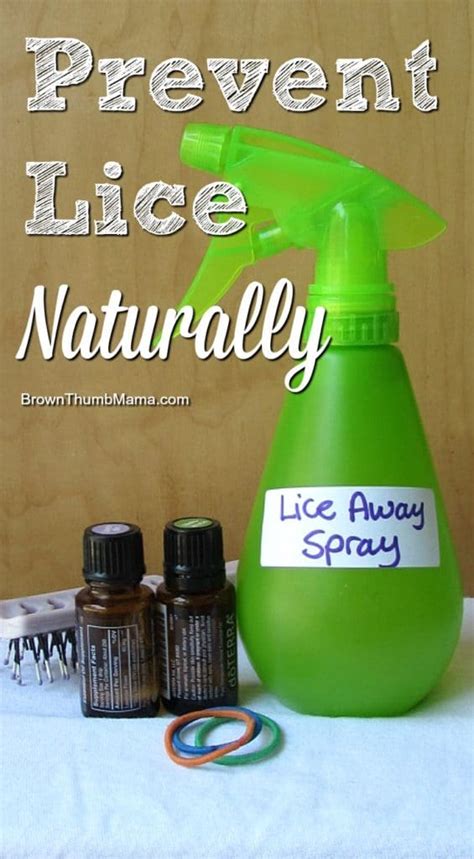 How To Prevent Lice Naturally - Brown Thumb Mama