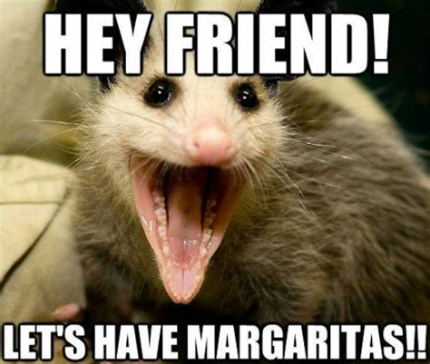 Margarita Memes For National Margarita Day That Are Relatable To Most ...