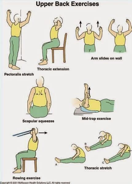 Upper Back Pain Exercises - Back Pain Relief Info