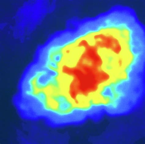 Radio Image Of The Crab Nebula Supernova Remnant Photograph by Nrao/aui ...