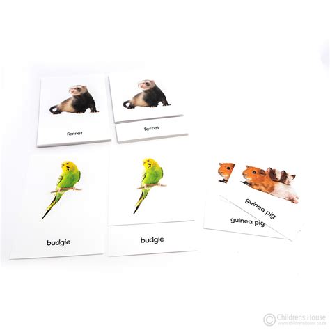 Household Pets 3 Part Cards - Childrens House Montessori Materials ...