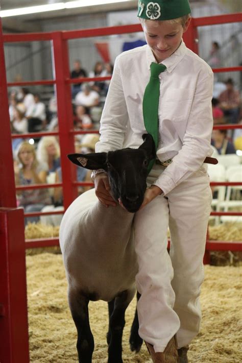 The Junior Livestock Auction at the Ventura County Fair. 2014 Ventura ...