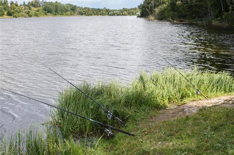 Fishing On A Lake Stock Photos, Images and Backgrounds for Free Download