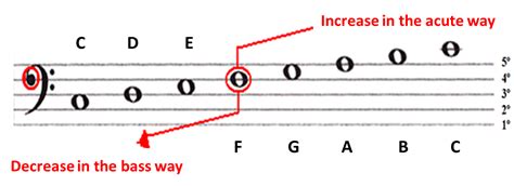 How to read the Bass Clef - Sheet Music | Simplifying Theory