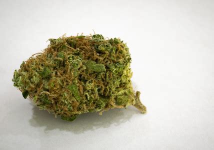 Berry White Weed Strain Information | Leafbuyer