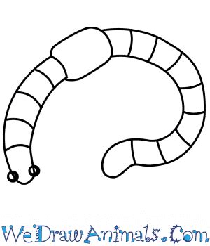 How to Draw a Simple Worm for Kids