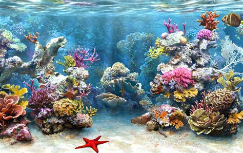 Coral Reef Wallpaper HD - WallpaperSafari