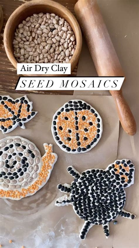 733K views · 54 reactions | Air dry clay seed mosaics We needed a ...