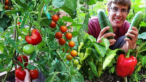 Garden Harvest Compilation - Gardening Chronicle