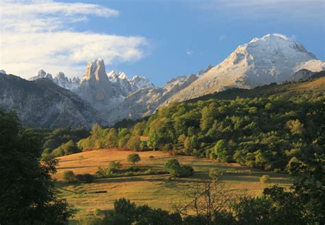 Wildlife Wanderings: Picos de Europa