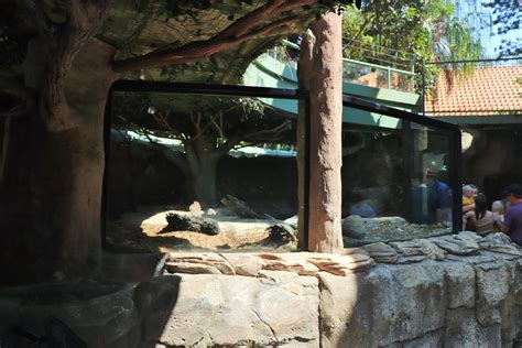 Freshwater Crocodile/Turtle Enclosure - ZooChat