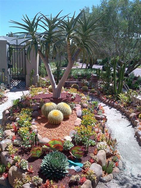 Fabulous Front Yard Cactus Garden Ideas – HOMYRACKS