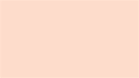 Peaceful Peach Solid Color Background Image | Free Image Generator