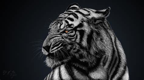 White Tiger Wallpapers - Top Free White Tiger Backgrounds - WallpaperAccess