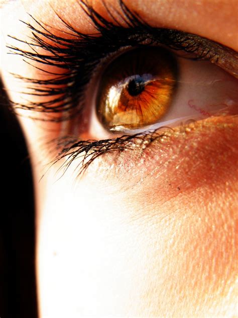 Amber eyes by Helen-Carter on DeviantArt