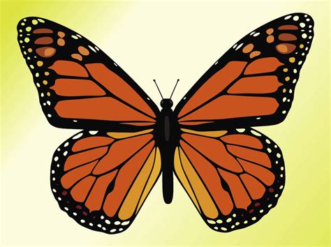 Monarch Butterfly Vector Art & Graphics | freevector.com