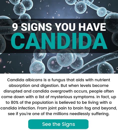 9 Candida Symptoms & 3 Steps to Treat Them - JSR COMMUNICATIONS