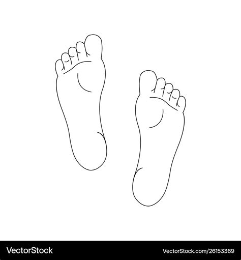 Line drawing left and right foot soles Royalty Free Vector