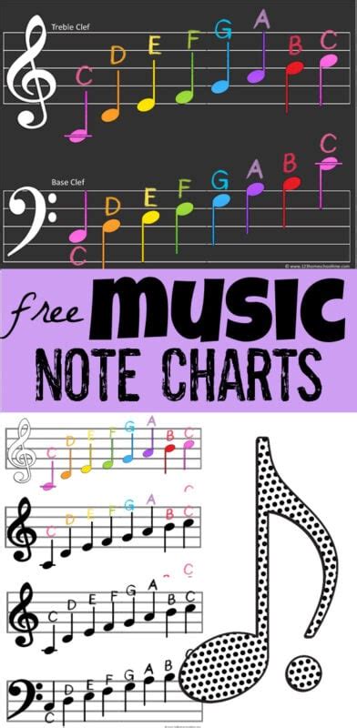 🎼 FREE Printable Music Notes Chart