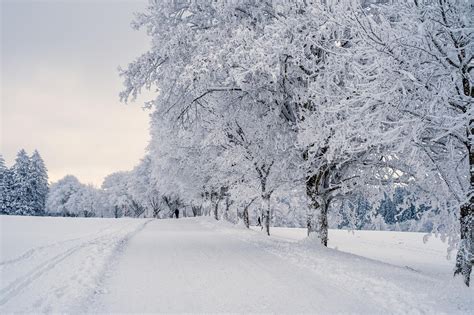 300,000+ Free Snow Landscape & Snow Images - Pixabay