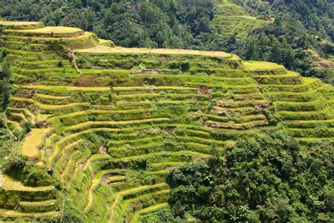 Banaue Rice Terraces, Philippines - Map, Facts, Location, Information